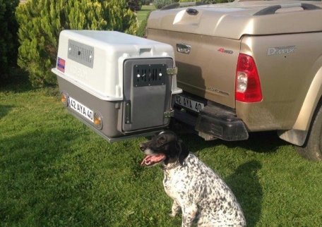 MD BOX KÖPEK TAŞIMA KAFESİ